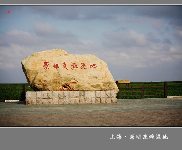 自行車租賃管理系統_上海東灘濕地國際公園